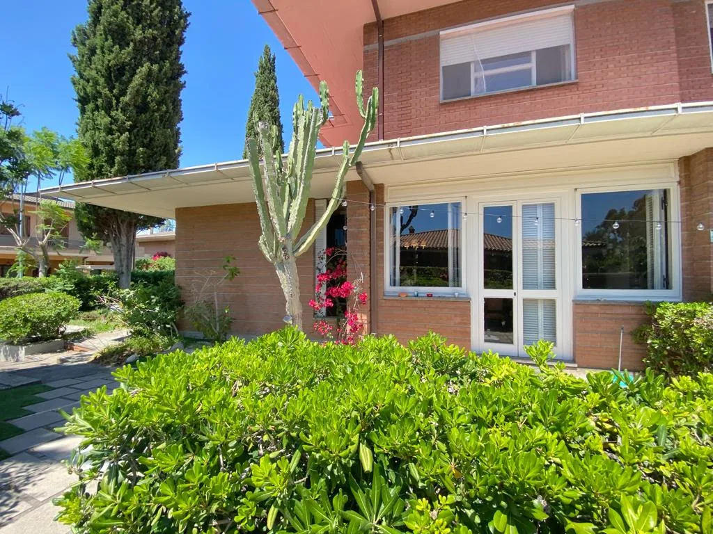 Brick façade with cactus and bougainvillea