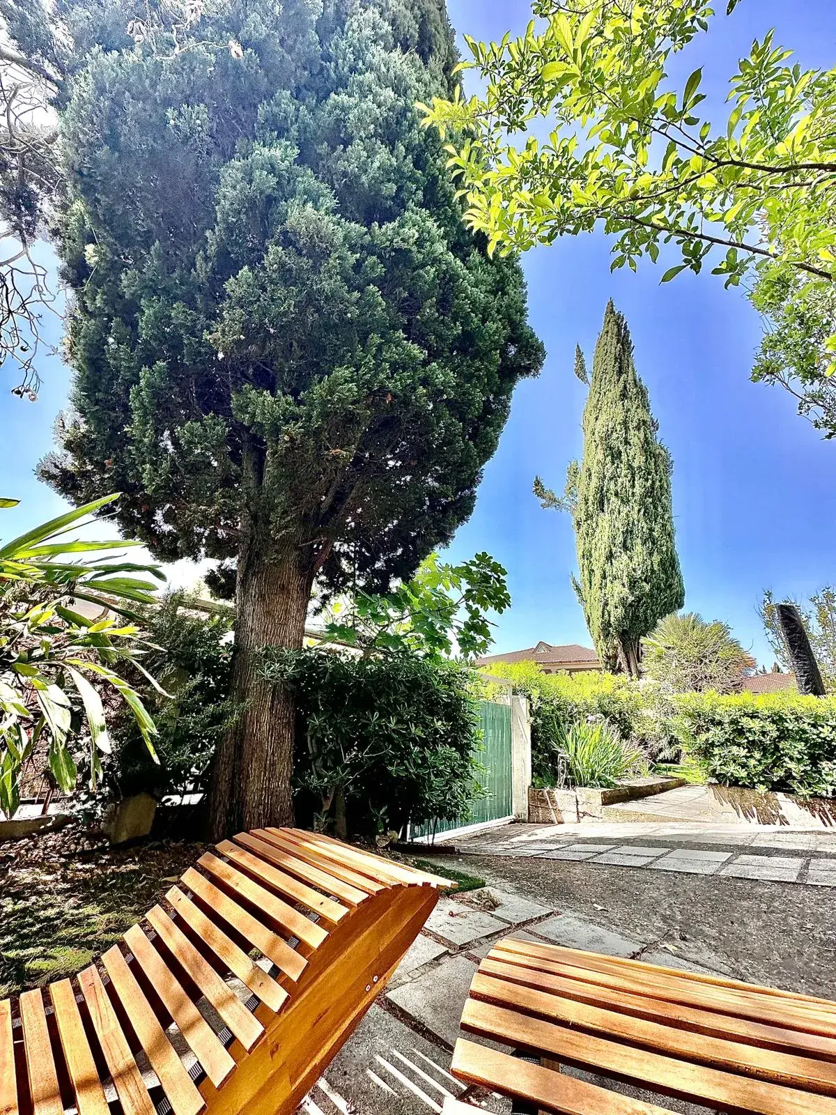 Wooden loungers under the cypress trees