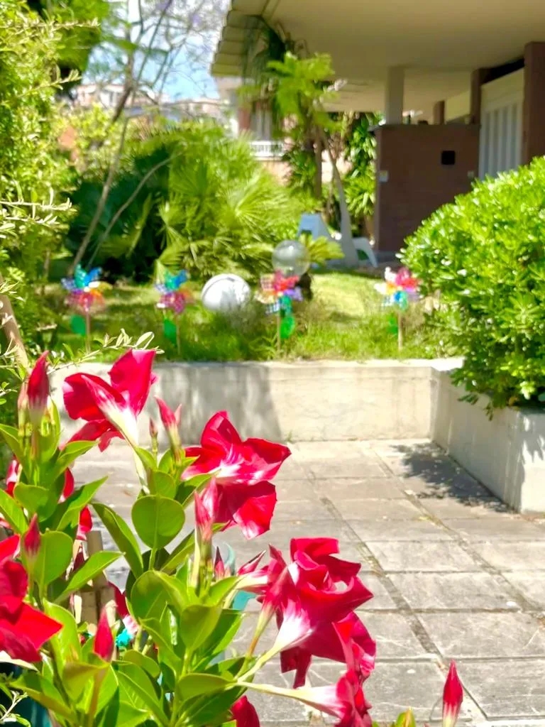 Mandevilla in bloom and lawn with pinwheels