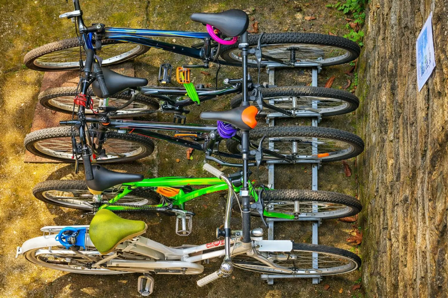 Bicycles available at Villa Brando